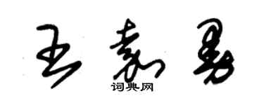 朱錫榮王嘉曼草書個性簽名怎么寫