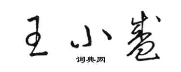 駱恆光王小盛草書個性簽名怎么寫