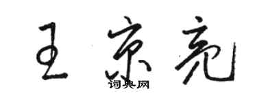 駱恆光王京亮草書個性簽名怎么寫