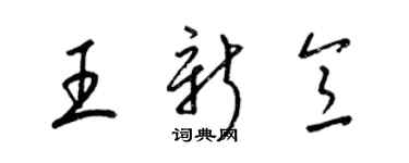 梁錦英王新意草書個性簽名怎么寫