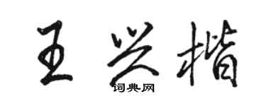 駱恆光王興楷行書個性簽名怎么寫