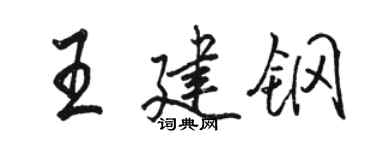 駱恆光王建鋼行書個性簽名怎么寫