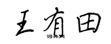 王正良王有田行書個性簽名怎么寫