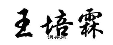 胡問遂王培霖行書個性簽名怎么寫
