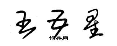 朱錫榮王五星草書個性簽名怎么寫