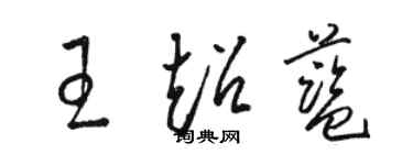 駱恆光王超藍草書個性簽名怎么寫