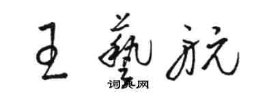 駱恆光王藝航草書個性簽名怎么寫