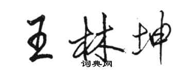 駱恆光王林坤行書個性簽名怎么寫