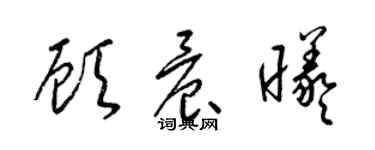 梁錦英顧晨曦草書個性簽名怎么寫