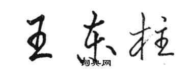 駱恆光王東柱行書個性簽名怎么寫