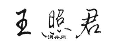 駱恆光王照君行書個性簽名怎么寫