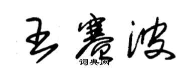 朱錫榮王賽波草書個性簽名怎么寫