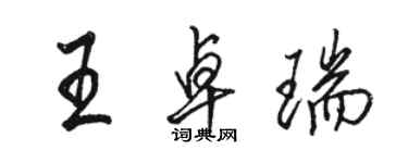 駱恆光王卓瑞行書個性簽名怎么寫