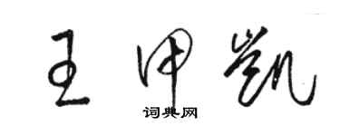 駱恆光王甲凱草書個性簽名怎么寫