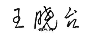 駱恆光王曉台草書個性簽名怎么寫