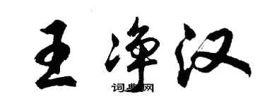 胡問遂王淨漢行書個性簽名怎么寫