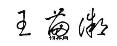 駱恆光王苗微草書個性簽名怎么寫