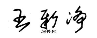 朱錫榮王新淨草書個性簽名怎么寫