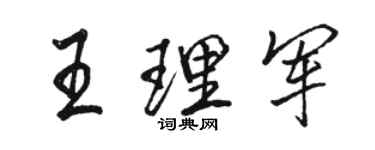 駱恆光王理軍行書個性簽名怎么寫