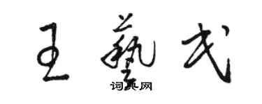 駱恆光王藝民草書個性簽名怎么寫