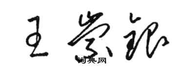 駱恆光王崇銀草書個性簽名怎么寫