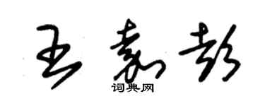 朱錫榮王嘉彭草書個性簽名怎么寫