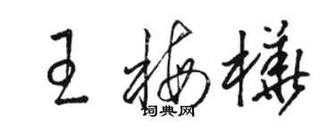 駱恆光王梅樺草書個性簽名怎么寫