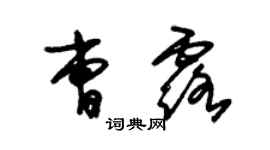 朱錫榮曹露草書個性簽名怎么寫