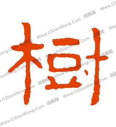 泰山金剛經寫的樹