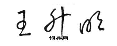 駱恆光王升明草書個性簽名怎么寫