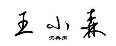 梁錦英王小森草書個性簽名怎么寫