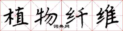 周炳元植物纖維楷書怎么寫