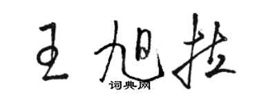 駱恆光王旭拉草書個性簽名怎么寫