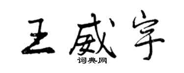 曾慶福王威宇行書個性簽名怎么寫