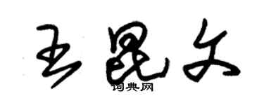 朱錫榮王昆文草書個性簽名怎么寫