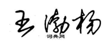 朱錫榮王渤楊草書個性簽名怎么寫