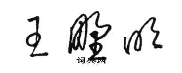 駱恆光王野明草書個性簽名怎么寫