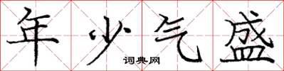 龐中華年少氣盛楷書怎么寫