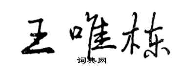 曾慶福王唯棟行書個性簽名怎么寫