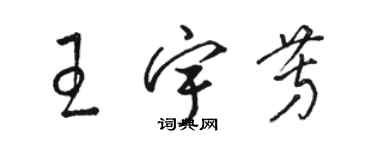 駱恆光王宇芳草書個性簽名怎么寫