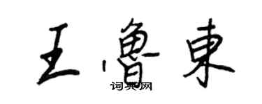 王正良王魯東行書個性簽名怎么寫