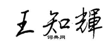 王正良王知輝行書個性簽名怎么寫