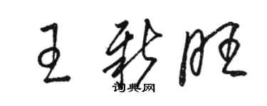 駱恆光王新旺草書個性簽名怎么寫