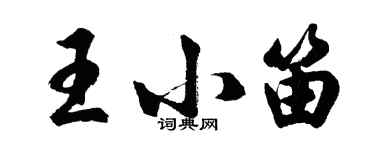 胡問遂王小笛行書個性簽名怎么寫