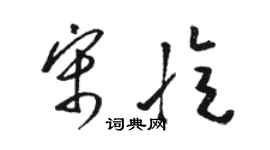 駱恆光宋憶草書個性簽名怎么寫