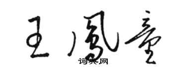 駱恆光王鳳童草書個性簽名怎么寫