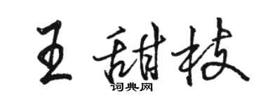 駱恆光王甜枝行書個性簽名怎么寫