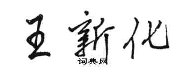 駱恆光王新化行書個性簽名怎么寫