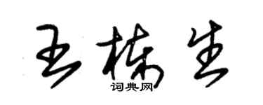 朱錫榮王棟生草書個性簽名怎么寫