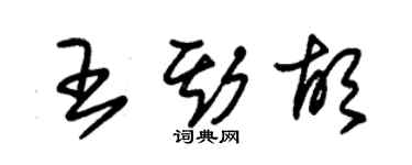 朱錫榮王斯胡草書個性簽名怎么寫